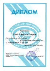 Диплом монтаж